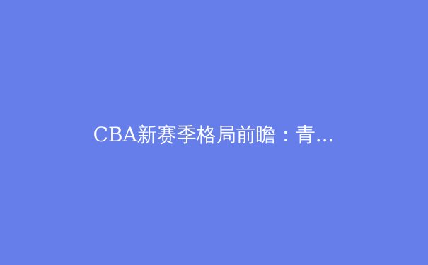 CBA新赛季格局前瞻：青训造血与战术革新成强队分水岭 - 4